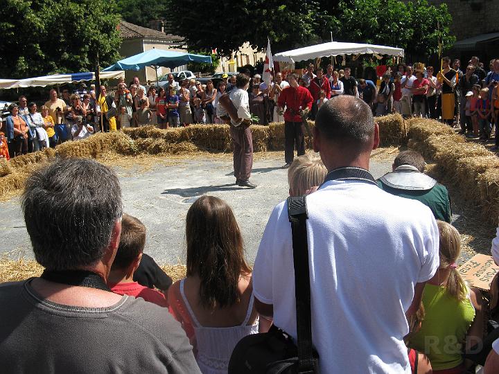 Frankrijk 25 juli 2010 (5).JPG